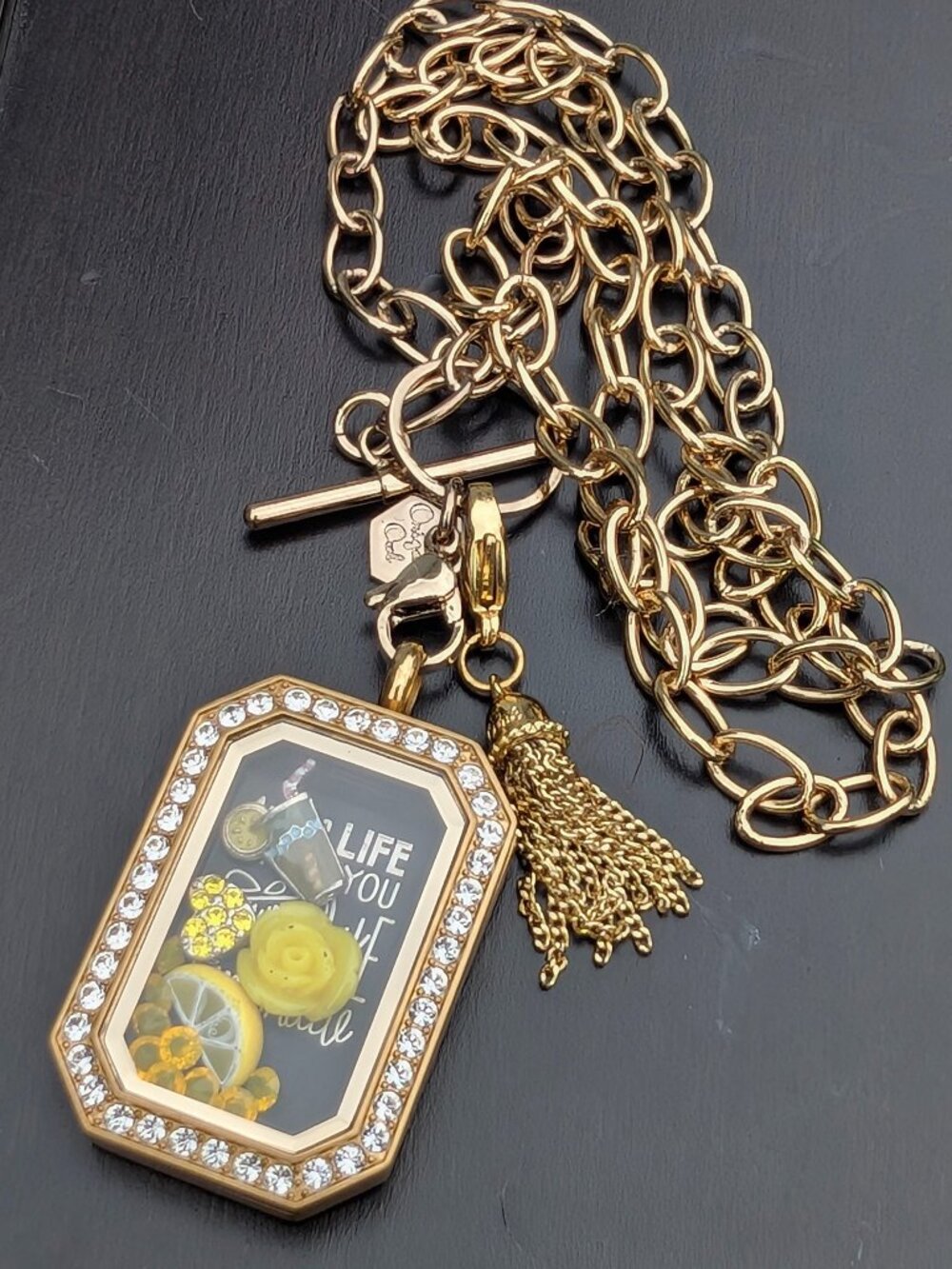 Origami Owl Living Locket Necklace Complete Set Charms Chain Tassel